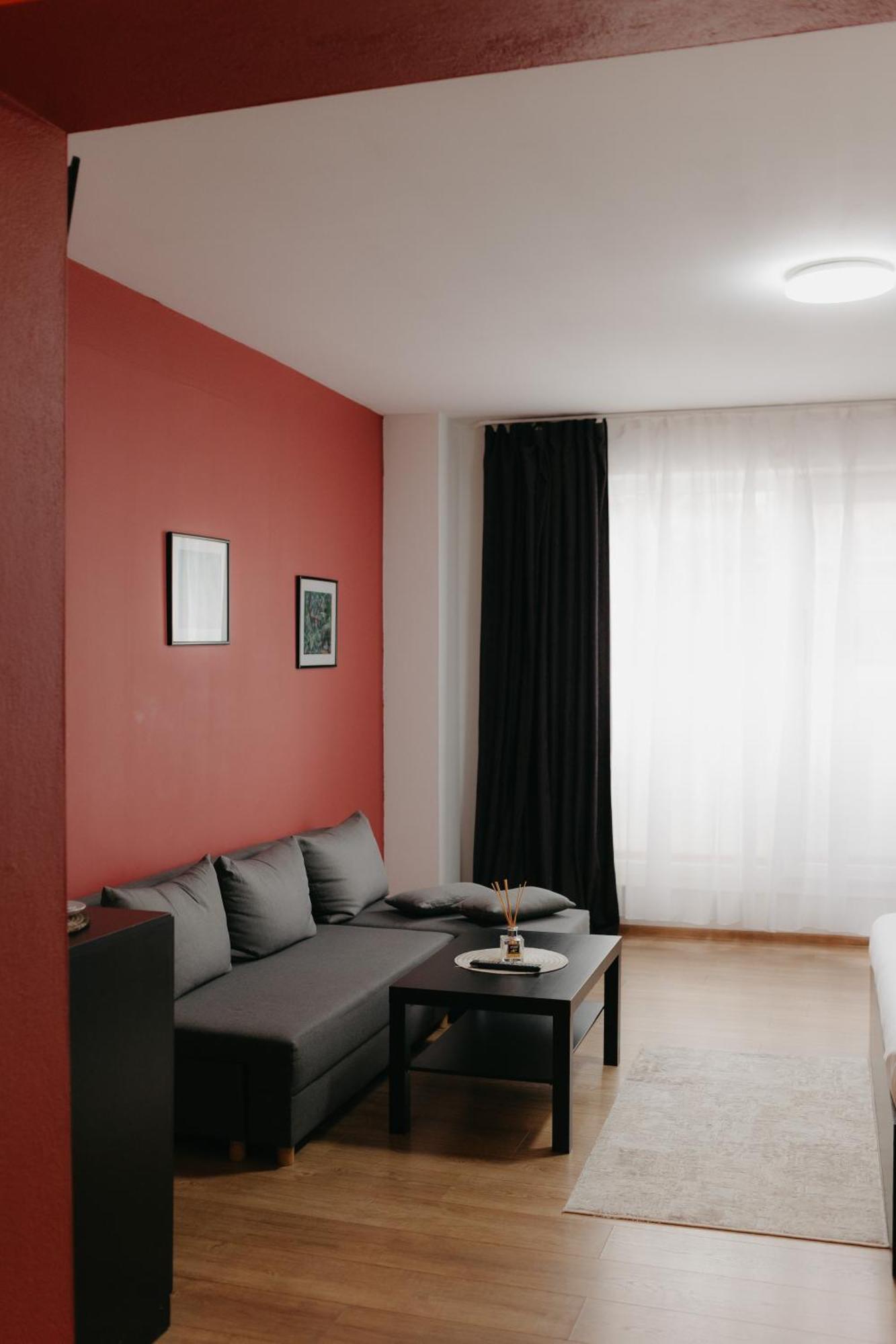 Pensiunea Pictorilor Baia Mare Exterior photo